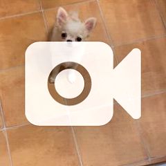 60位のイメージ