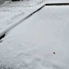 229位のイメージ