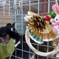 66位のイメージ