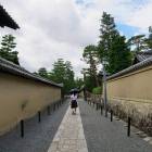 1047位のイメージ