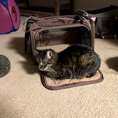 57位のイメージ