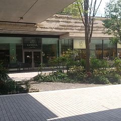 38526位のイメージ