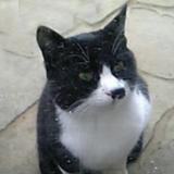 38521位のイメージ