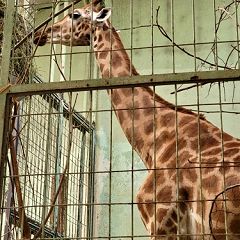 22位のイメージ