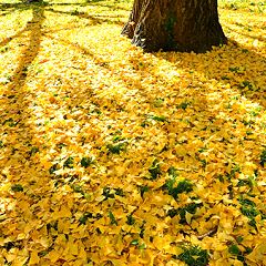 92位のイメージ