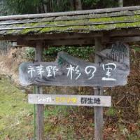 111位のイメージ