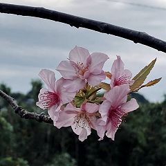 64位のイメージ