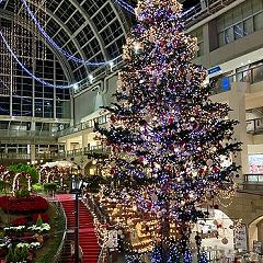 21位のイメージ