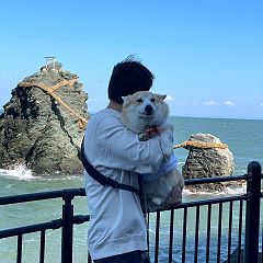 37位のイメージ