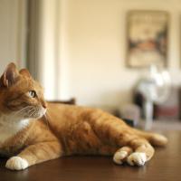 435位のイメージ