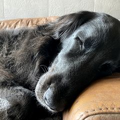 30位のイメージ