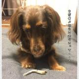 83位のイメージ