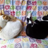 19位のイメージ