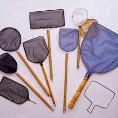 80位のイメージ