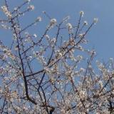 24位のイメージ