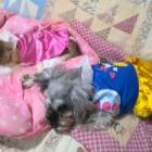 16331位のイメージ