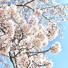 171位のイメージ