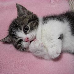 801位のイメージ