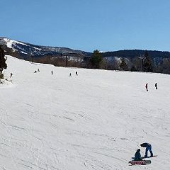 557位のイメージ