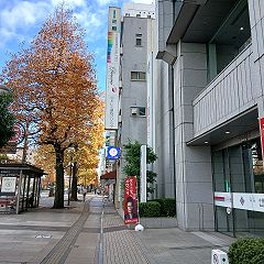 97位のイメージ