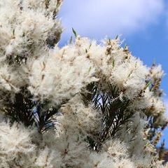 26位のイメージ