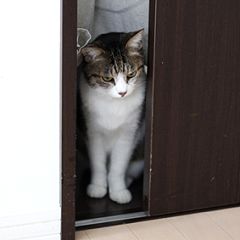 172位のイメージ