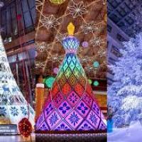 17位のイメージ