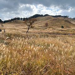 146位のイメージ