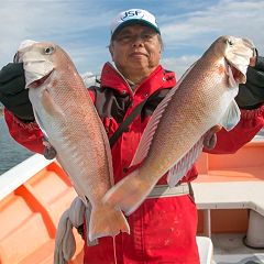 78位のイメージ