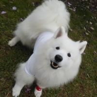 964位のイメージ