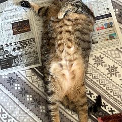 60位のイメージ