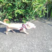 384位のイメージ