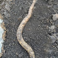 30位のイメージ