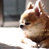 944位のイメージ