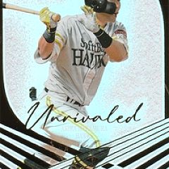 266位のイメージ