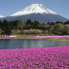 88位のイメージ