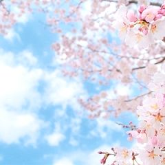 10位のイメージ