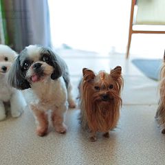 76位のイメージ