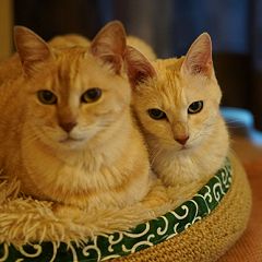 364位のイメージ