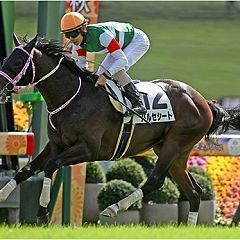 53位のイメージ