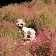 104位のイメージ