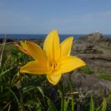 40位のイメージ