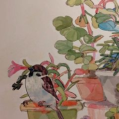 25位のイメージ