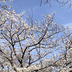 10位のイメージ