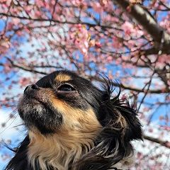 1939位のイメージ