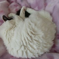 3683位のイメージ