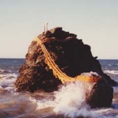 194位のイメージ