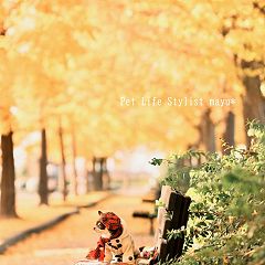 4538位のイメージ