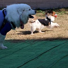 18位のイメージ