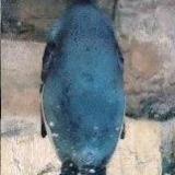 560位のイメージ